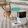 Pet Products Automatic Water Fountain And Programmable Automatic Pet Feeder