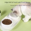 Elevated Cat Bowls, Raised Cats Ceramic Food and Water Stand Bowl Dishes for Cats Small Dogs or Puppy, 15Â¬âˆž Tilted Anti Vomiting Stress Free Feeder De