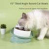 Elevated Cat Bowls, Raised Cats Ceramic Food and Water Stand Bowl Dishes for Cats Small Dogs or Puppy, 15Â¬âˆž Tilted Anti Vomiting Stress Free Feeder De