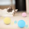 Home Pet Smart Cat Toys Interactive Ball